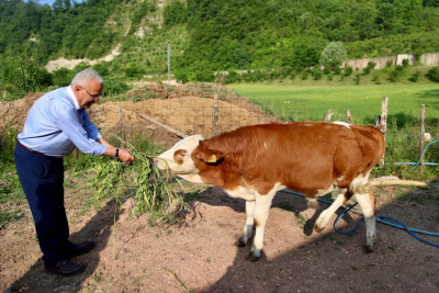 BÜYÜKŞEHİR BESİCİLERİN YÜZÜNÜ GÜLDÜRDÜ