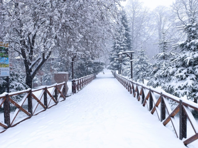 KARLA MÜCADELE EKİPLERİ SAHADA