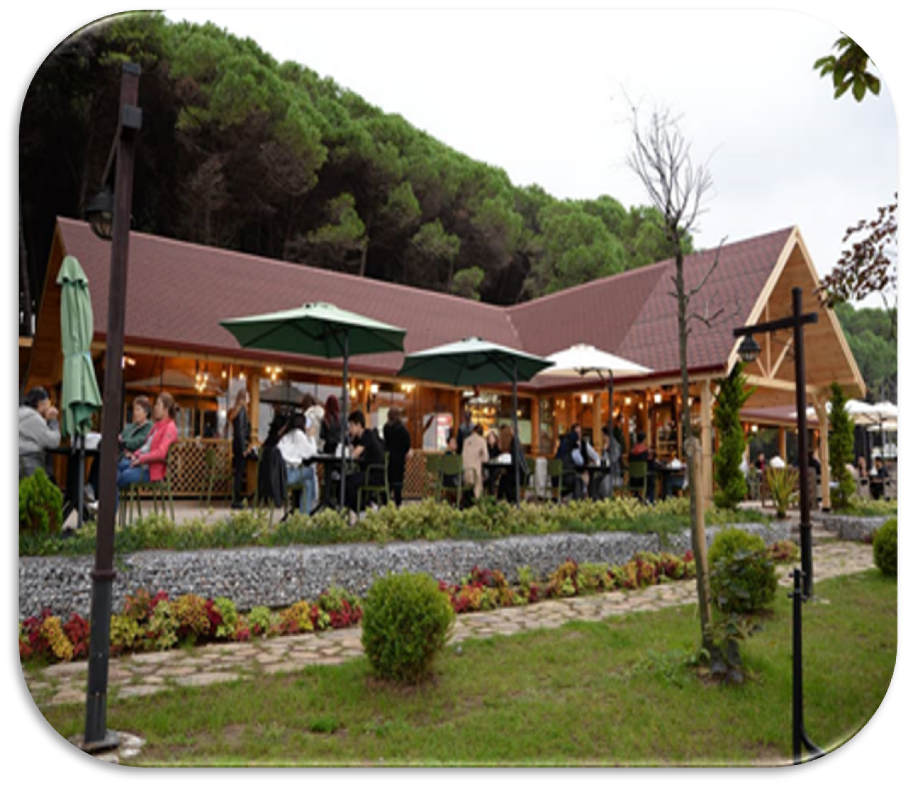 Ünye Çamlık Kafe