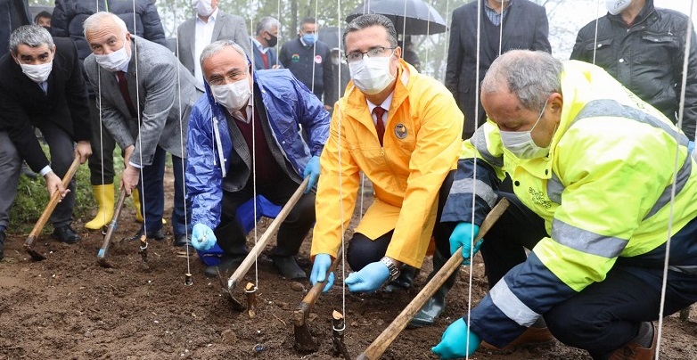ÇOBAN FASULYELERİ TOPRAKLA BULUŞTURULDU