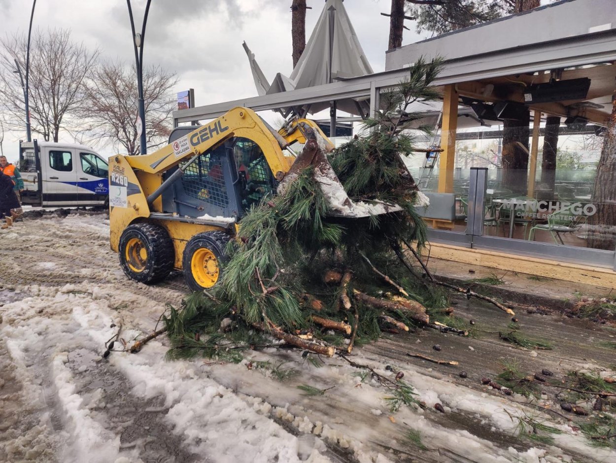 ORDU’DA ŞİDDETLİ KAR, AĞAÇLARA ZARAR VERDİ